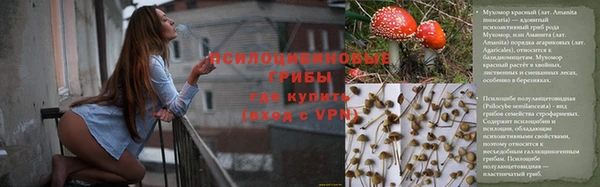 прущие грибы Навашино