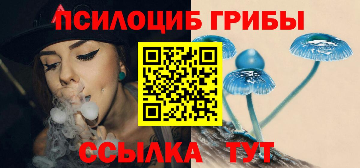 Галлюциногенные грибы Psilocybine cubensis Слободской